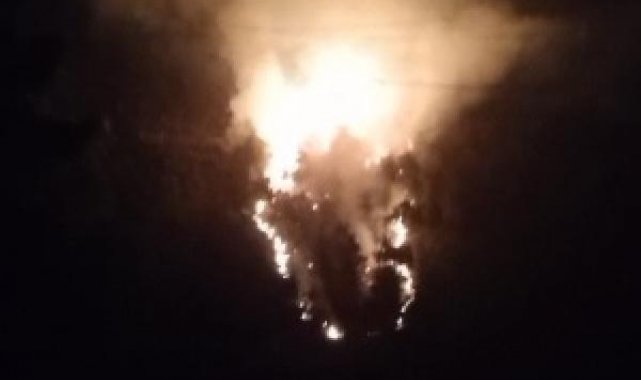 Hatay'da orman yangını; 4 saatte kontrol altında