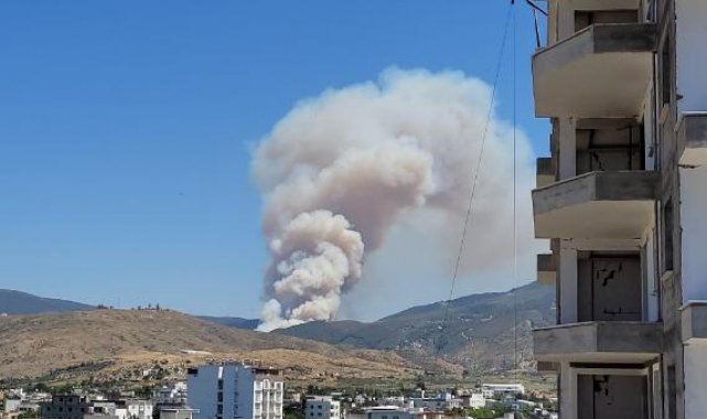 Hatay'da orman yangını