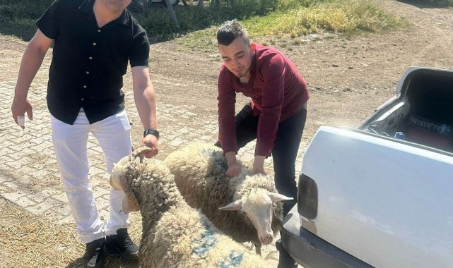 Hisarcık Dereköy'de kurban kesemeyen 18 aileye hayırseverlerden kurban bağışı
