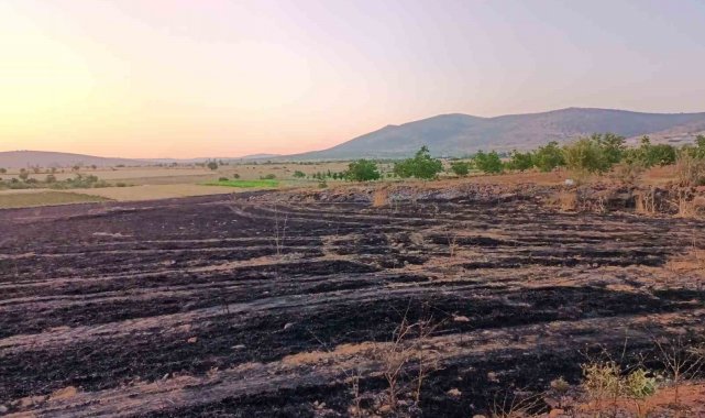 Hüyük'te arpa ekili arazi alevlere teslim oldu