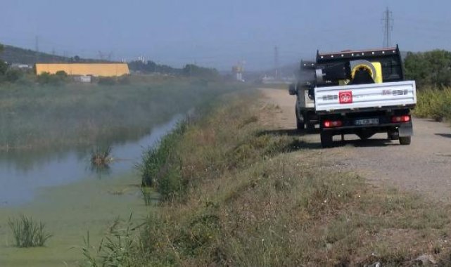 İBB ekipleri sazlıdere'de sivrisineklere karşı ilaçlama yaptı