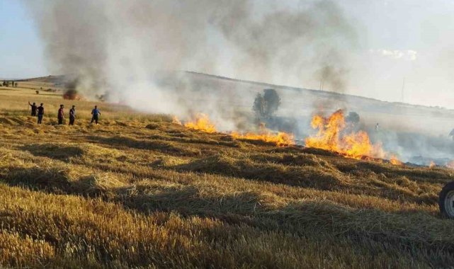İki ayrı noktada çıkan yangında 30 dekar mahsul heba oldu