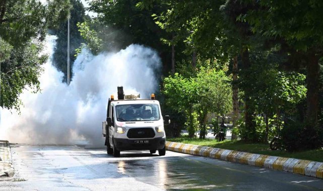 Isparta'da 44 mahalle 200 cadde ve 3 bine yakın sokakta genel temizlik