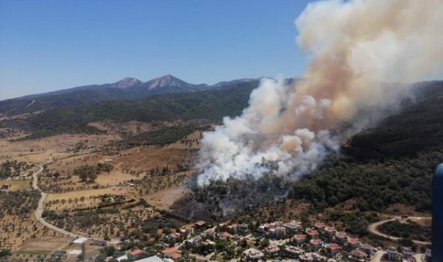 İzmir Güzelbahçe'de orman yangını