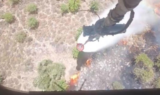 İzmir ve Manisa'da çıkan 9 orman ve çalı yangını büyümeden söndürüldü