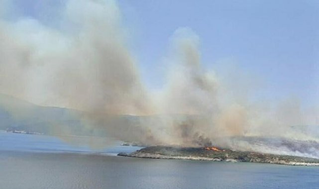 İzmir'de makilik yangını