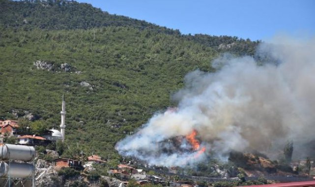 İzmir'de orman yangını