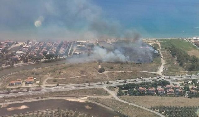 İzmir'de sazlık yangını