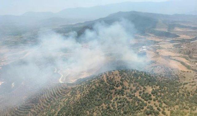 İzmir'de tarlada çıkan yangın, ormana sıçradı