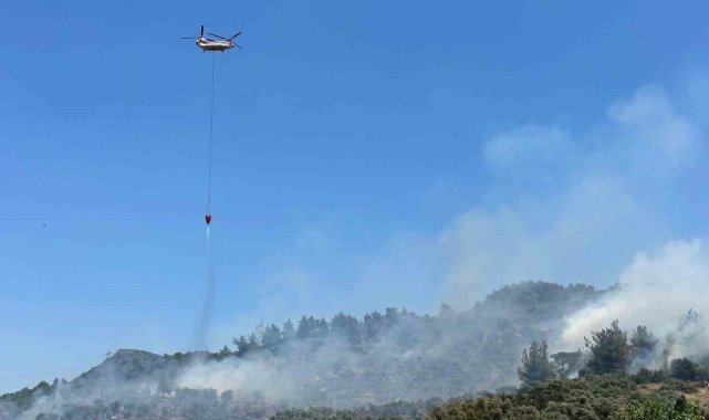 İzmir'de zeytinlikte çıkan yangına havadan ve karadan müdahale