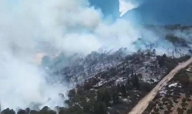 İzmir'in 2 ilçesinde orman yangını