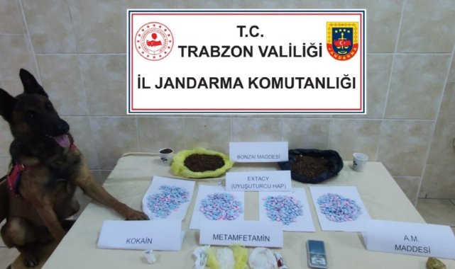 Jandarma Narkotik timlerinin 'Duman'ı göz açtırmıyor