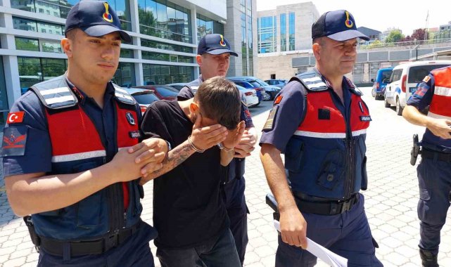 Jandarmadan kokain operasyonu: 1 tutuklama
