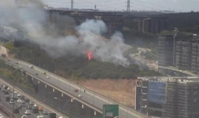 Kağıthane'de TEM Otoyolu kenarında ağaçlarda yangın-1