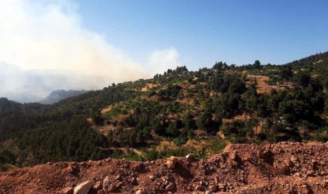 Kahramanmaraş'ta orman yangını