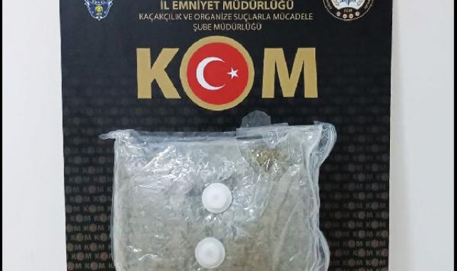 Kapıkule'de durdurulan TIR'da 1 kilo skunk ele geçirildi