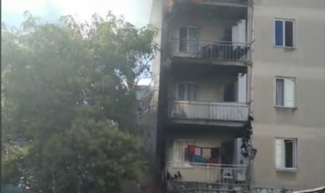 Kartal'da kömürlükteki yangında 4 yavru kedi yaralı olarak kurtarıldı