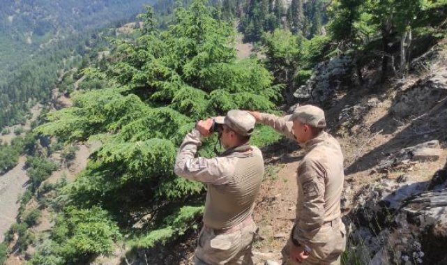 Kaybolan Alzheimer hastasını, 60 kişilik jandarma ekibi arıyor