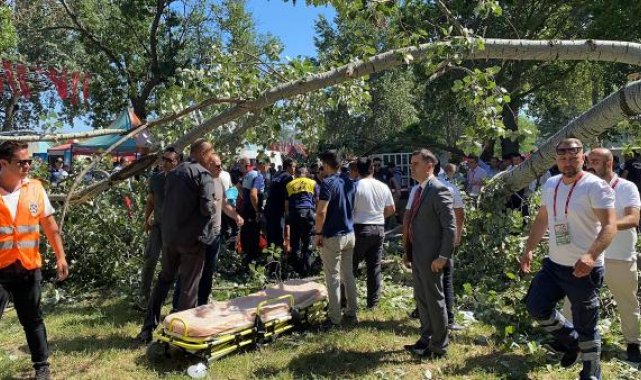 Kırkpınar'ın yapıldığı Sarayiçi'nde ağaç devrildi: 2 yaralı