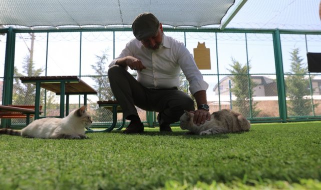 Kocasinan'dan sıcak bir yuva; 'küçük dostlar kedi kasabası'