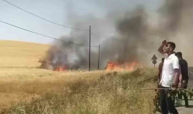 Kozluk'ta 100 dönüm buğday tarlası küle döndü