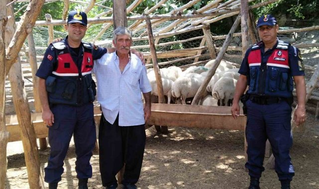 Küçükbaş hayvan hırsızları tutuklandı