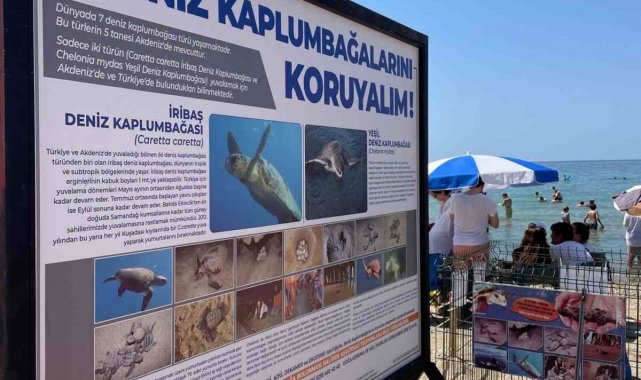 Kuşadası Belediyesi'nden Caretta Caretta yuvaları için bir önlem daha