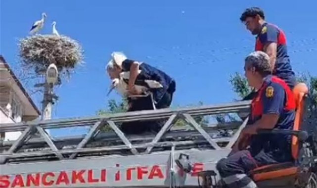 Leylek yuvasına itfaiye aracıyla bırakıldı