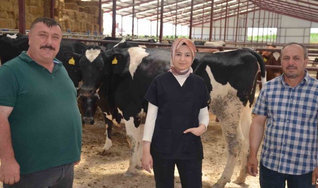 Macar düveler Beylikova'ya geldi