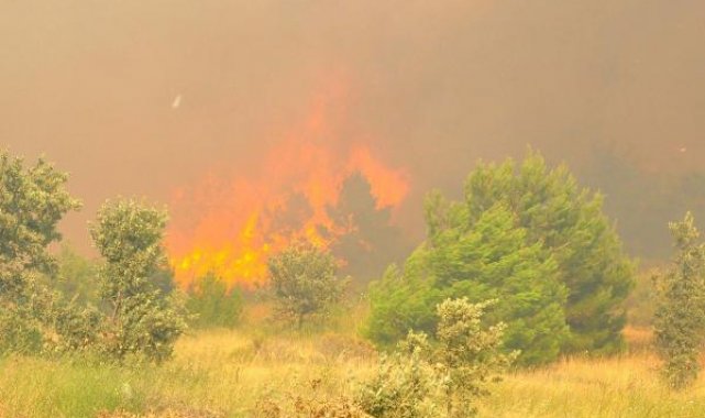 Manisa'daki orman yangınında şüpheli tarım işçisi tutuklandı