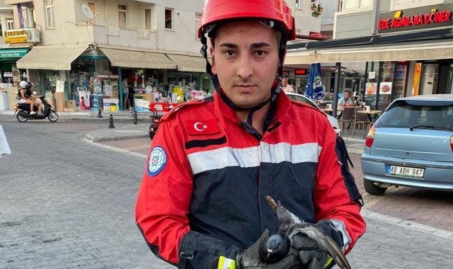 Marmaris'te kanala düşen yaralı güvercini itfaiye ekipleri kurtardı