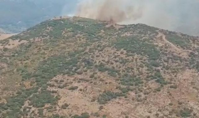 Menemen'de orman yangını