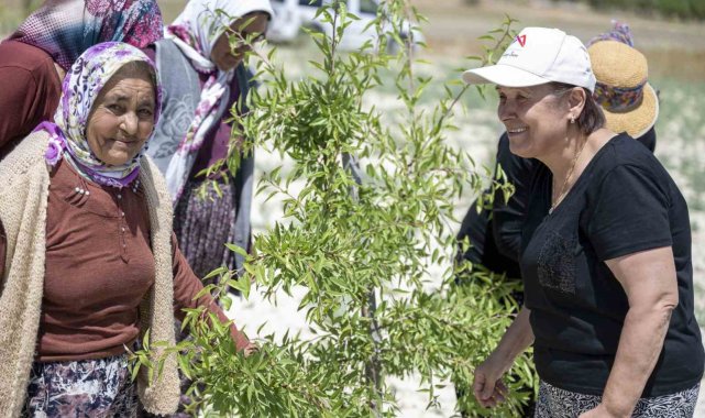 Mersin Büyükşehir Belediyesinin tarımsal üretime desteği sürüyor