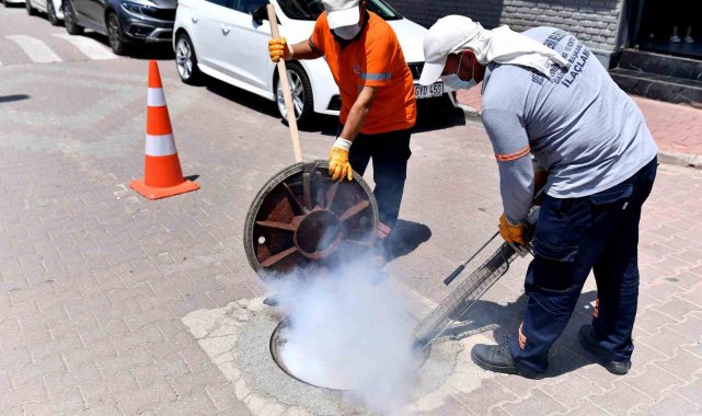 Mersin'de 160 bin noktada düzenli ilaçlama yapılıyor