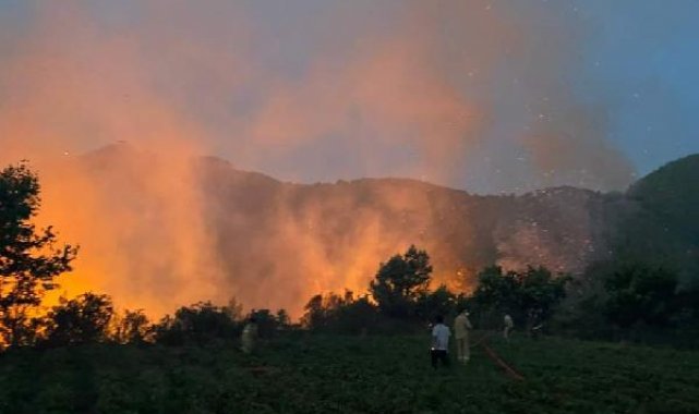 Mersin'de orman yangını; 6 saatte söndürüldü
