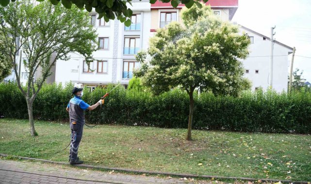 Mesire alanları ve parklar ilaçlanıyor