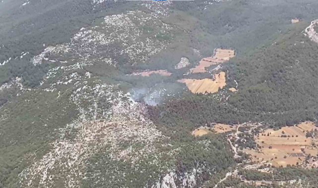 Milas orman yangını kısmen kontrol altında