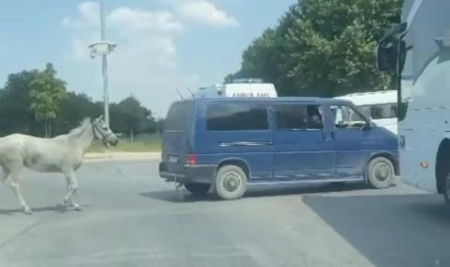 Minibüsüne bağladığı atı arkasından koşturan sürücüye gözaltı kararı