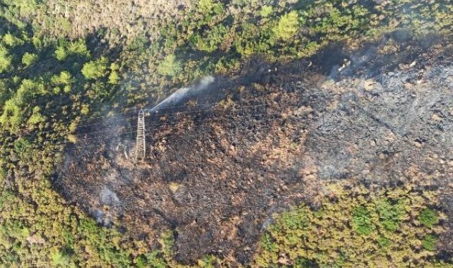 Muğla'da büyük yangınların yıl dönümünde orman yangını