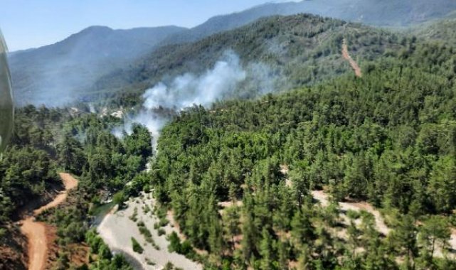 Muğla'da orman yangını