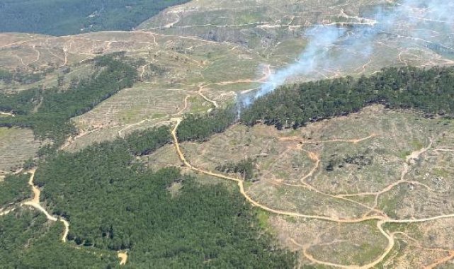 Muğla'da orman yangını