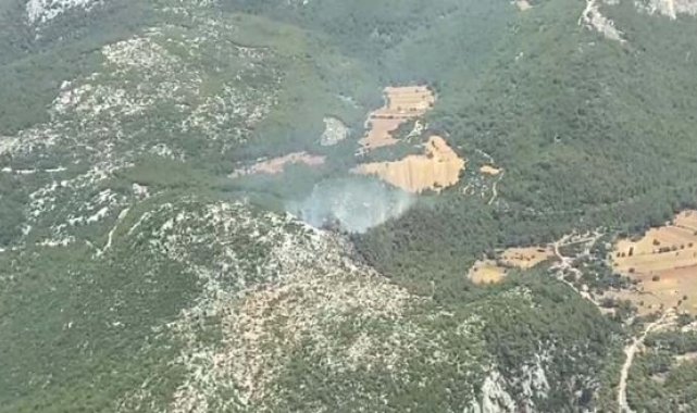 Muğla'da orman yangını
