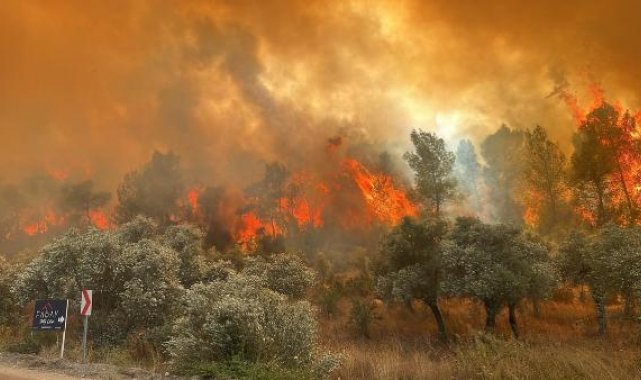 Muğla'da orman yangını