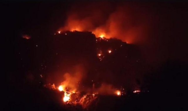 Muğla'da ormana sıçrayan yangın 12 saatte kontrol altına alındı; 1 gözaltı