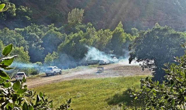 Munzur Vadisi Milli Parkı'nda yasağa rağmen piknik ve kamp