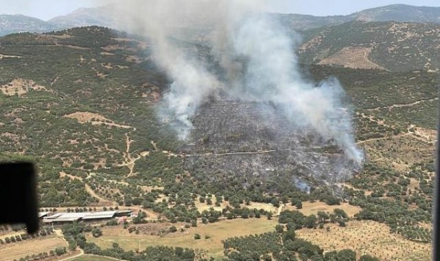 Ödemiş'te orman yangını