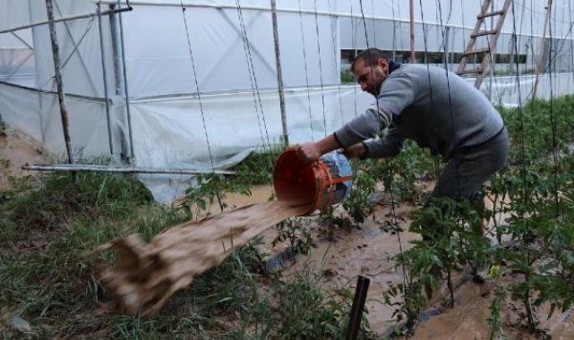 Oltu'da sağanak yağmur, ekili arazi ve seralara zarar verdi