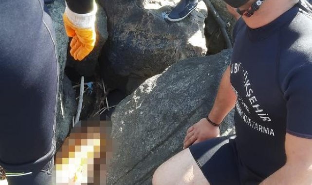Ordu'da denizde bulunan kadın cesedinin kime ait olduğu DNA ile belirlenecek