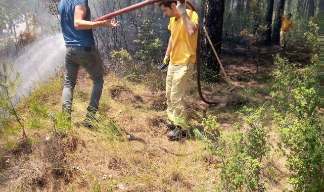 Orman yangını büyümeden söndürüldü