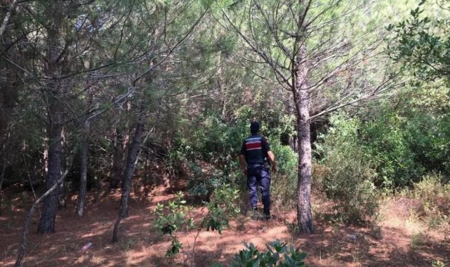 Ormanlık alanda mangal yaktılar, cezadan kaçamadılar